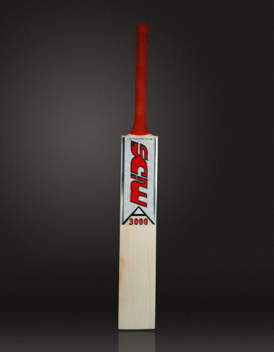 A-3000 Cricket Bat